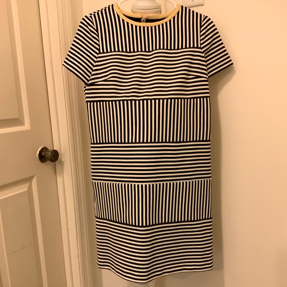 Dress - business, casual attire. Good for day or night. Flatters all shapes.